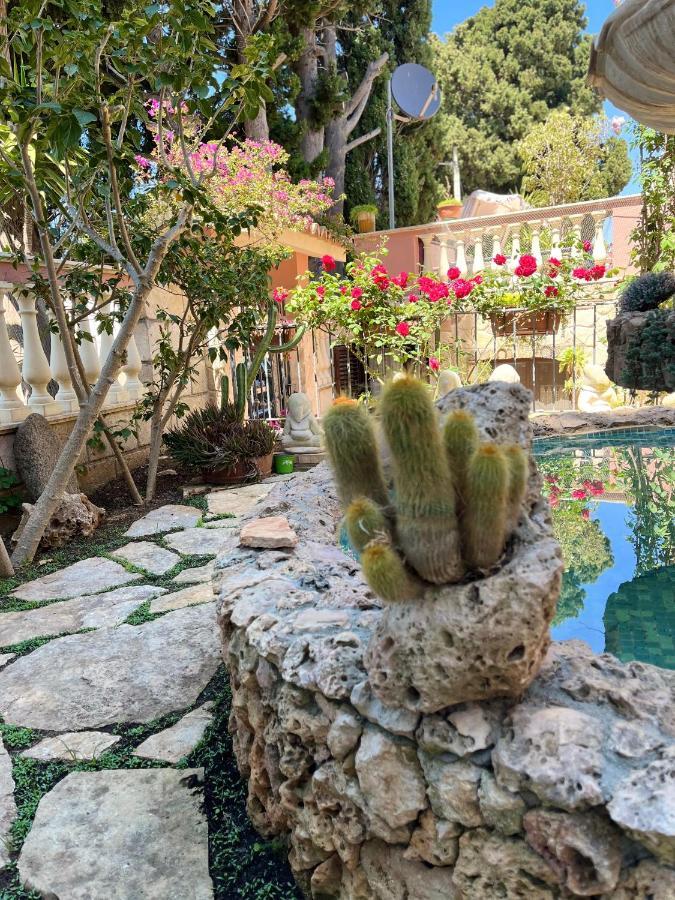 B&B Villa Regina Санта-Доменіка Екстер'єр фото