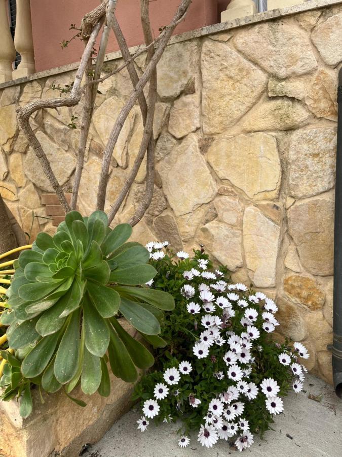 B&B Villa Regina Санта-Доменіка Екстер'єр фото